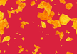 Chips Bild.png