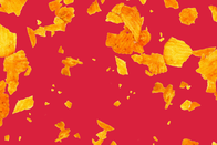 Chips Bild.png