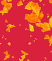 Chips Bild.png