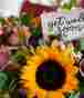 AdobeStock_317687016.jpeg